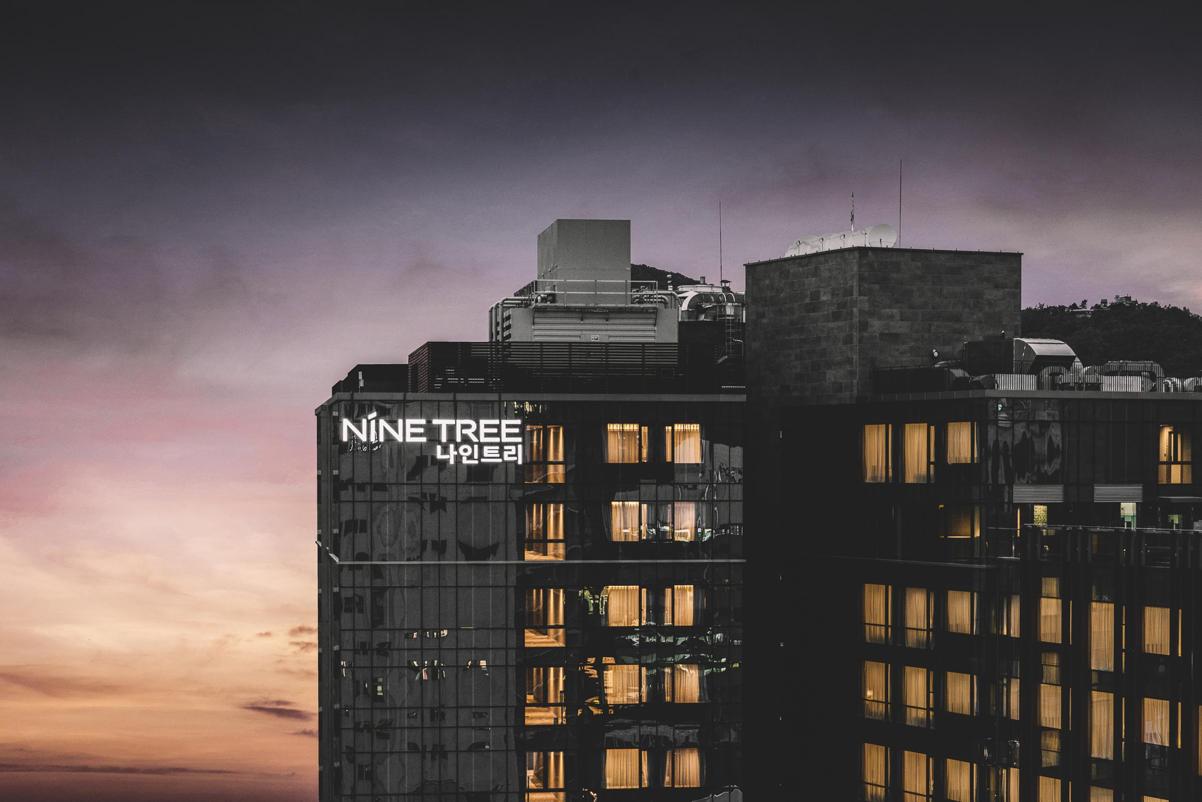 Nine Tree By Parnas Seoul Insadong Hotel Exterior photo
